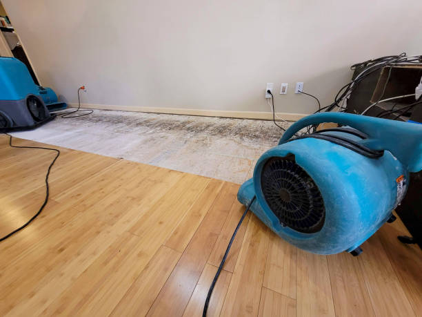 Professional Structural Drying technician working in Fort Calhoun, NE